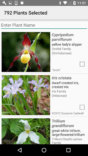 West Virginia Wildflowers Screenshot 2