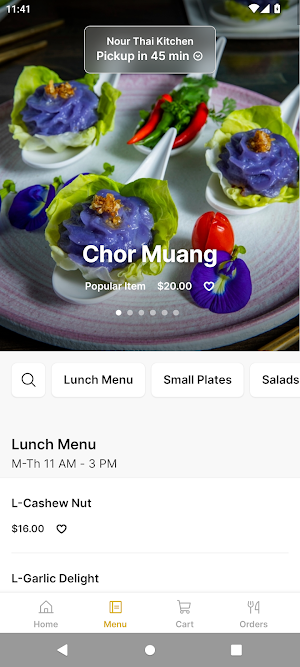 Nour Thai Kitchen Screenshot 1