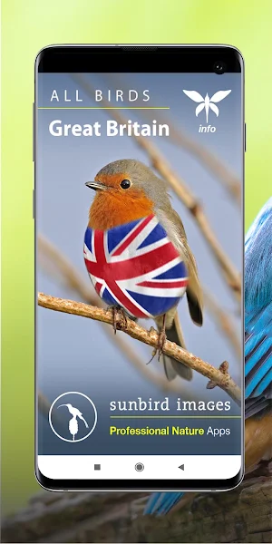 All Birds UK  - A Sunbird Field Guide Screenshot 0