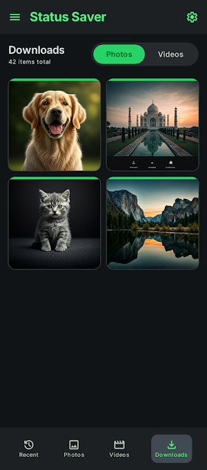 Status Downloader - Save Video Screenshot 3