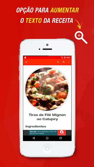Receitas de Filé Mignon Screenshot 2