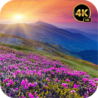 Nature Live Wallpapers 4K