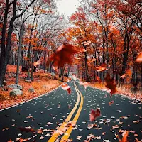 Autumn Wallpaper