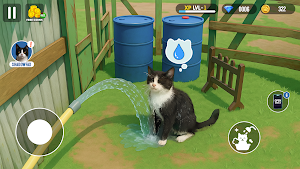 Animal Shelter Wildlife Pet 3d Screenshot 0