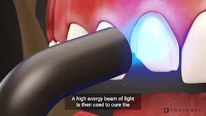 Thalamus Media Screenshot 0