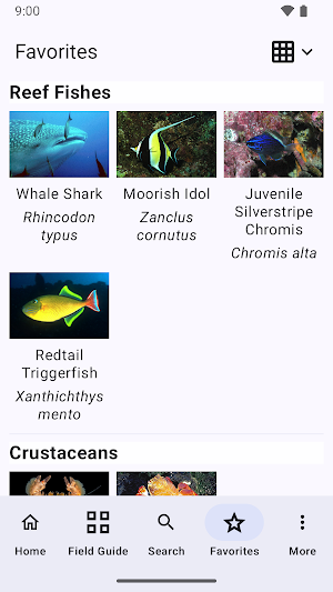 Galápagos Marine Life Screenshot 3