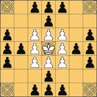 Tafl: viking chess