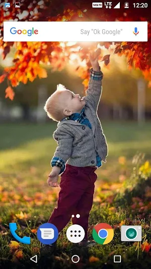 Autumn Wallpaper HD Screenshot 2