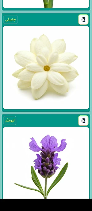 Flowers Screenshot 3