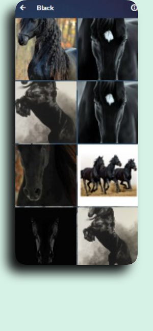 Running Horse Wallpaper Screenshot 3