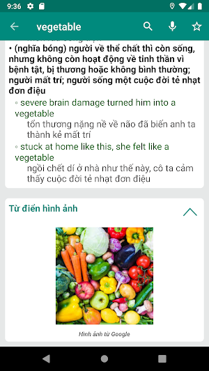 Vietnamese English Dictionary Screenshot 1