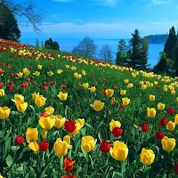 8000 Nature Wallpapers 2023