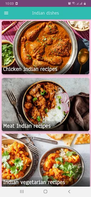 Indian dishes Screenshot 0