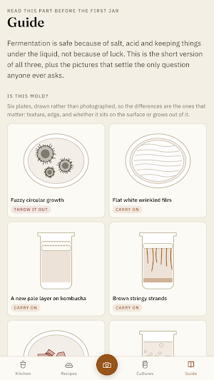 Ferment: Sourdough & Kimchi Screenshot 2