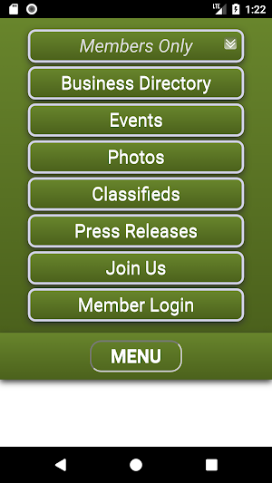 Ellenville-Wawarsing App Screenshot 1