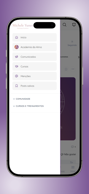 iLumi Screenshot 2