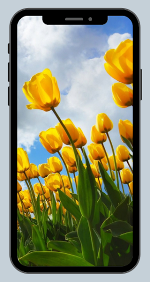 NATURE WALLPAPER Screenshot 0