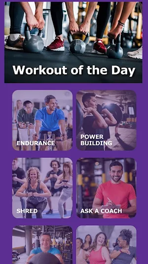 Flex Fit Screenshot 0