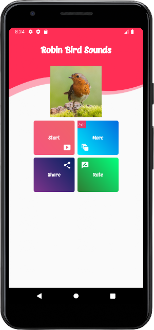 Robin Bird Sounds Screenshot 0
