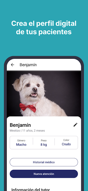 Brinco para Veterinarios Screenshot 1