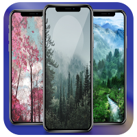 Forest Wallpaper HD