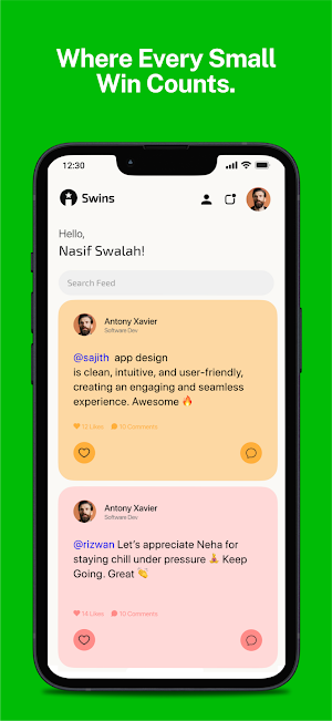 Swins Screenshot 1