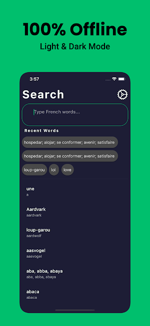 French Dictionary English Screenshot 1