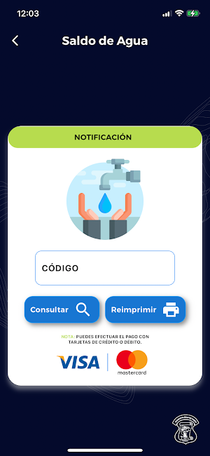 Consultas Mixco Screenshot 3