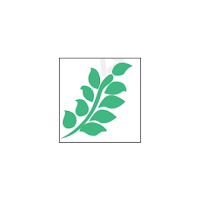 Green Garden Landscaping