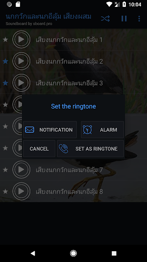 เสียงนกกวักและนกอีลุ้ม ตัวใหม่ Screenshot 2