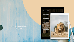 Lion Sounds - Real Lion Roar Screenshot 2