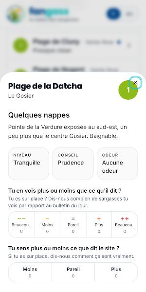 Fangass : météo des sargasses Screenshot 2