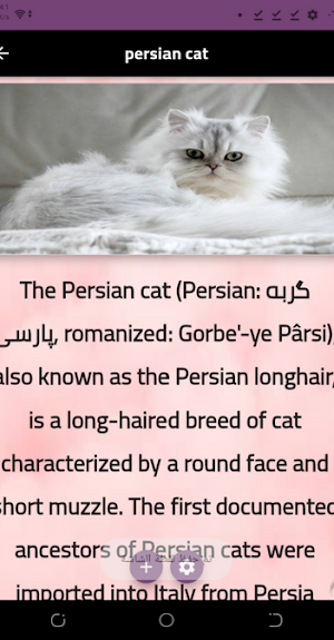 pet cats Screenshot 1