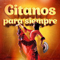 Chat gitano