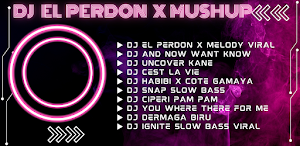 DJ El Perdon X Mashup Offline Screenshot 2