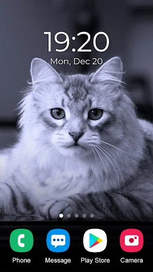 Cat Wallpaper 2023 Screenshot 3