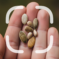 Seed Identifier