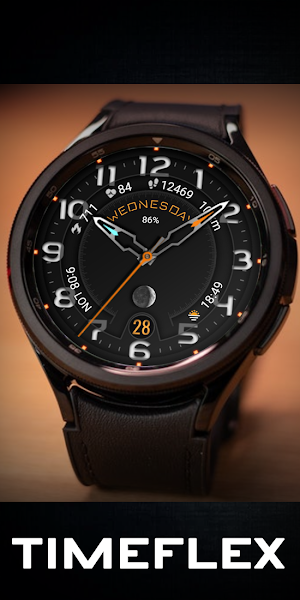 Timeflex Screenshot 1