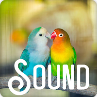 Lovebird Soundboard Ringtones