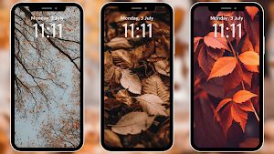 August Wallpapers 4K Screenshot 0