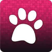 DirtyPaws Dogwash