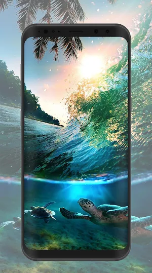 Tortoise Wallpaper Screenshot 2
