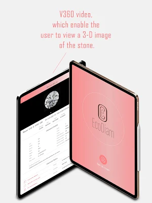 EcoDiam screenshot 8