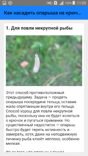 Как насадить опарыша на крючок. Советы Screenshot 1