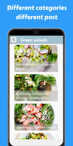 Salad Recipes Cookbook app Screenshot 0
