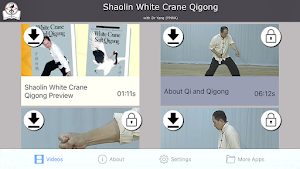 Shaolin Crane Qigong Screenshot 2