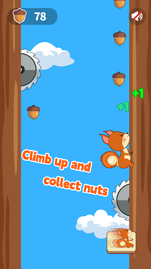 Squirrel Collect Nuts Screenshot 1
