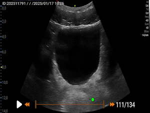 MyLabPocketVet Screenshot 3