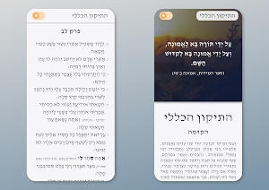 תיקון הכללי Screenshot 3