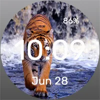 Wet Cat - Watch Face